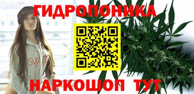 хмурый Берёзовский