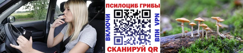 Галлюциногенные грибы GOLDEN TEACHER  где купить наркоту  Черкесск 