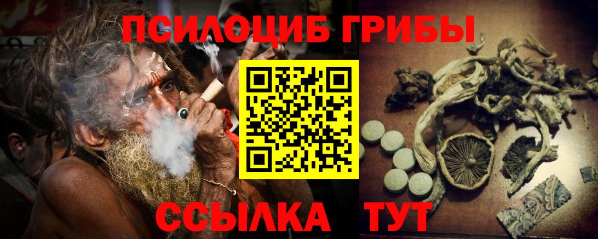 Псилоцибиновые грибы Psilocybe Черкесск