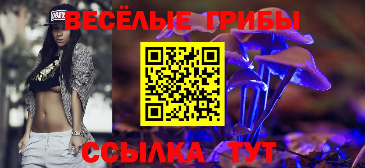 Псилоцибиновые грибы GOLDEN TEACHER Черкесск